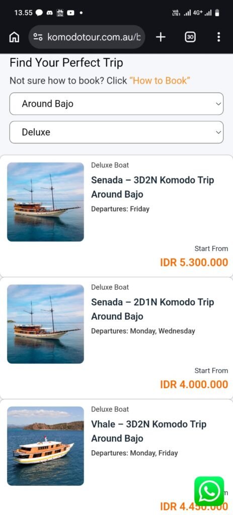Boat Options at Komodo Indonesia Tours