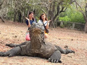 Komodo Tri[, Komodo Island Tour